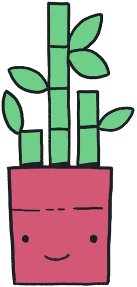 planta maceta